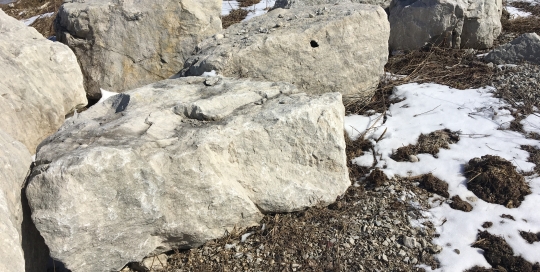 Large Limestone Riprap | Rip rap